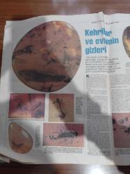 Cumhuriyet Bilim Teknik Gazetesi - 11 Mayıs 1996- Sayı 477 - Herkese Özel Gözlük Üretimi Bashadi- Mucize Tartı - Gelecek Yüzyıl Tıpta Gen Tedavisi Dönemi Olacak - Yeni Ford Escort - Kehribar Ve Evrimin Gizleri - Felsefe Nesnel Gerçek Ve Sosyal Bilim - Silikon Tehlikeli Mi Değil Mi - Gözden Kimlik Saptaması