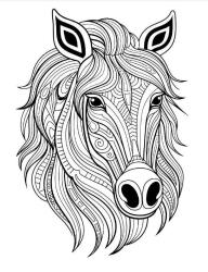 Efsane MANDALA Boyama Kitap Seti (3 Kitap)