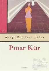 Akışı Olmayan Sular