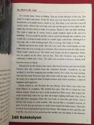 The Bird in the Cage - Kenneth Cripwell - Orient Press (Kafesteki Kuş) İngilizce Kitap