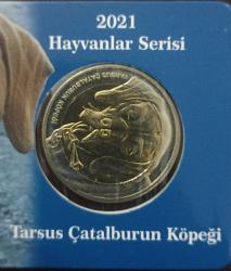 @@ 2021 Hayvanlar Serisi Tarsus Çatalburun Köpeği @@