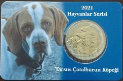 @@ 2021 Hayvanlar Serisi Tarsus Çatalburun Köpeği @@