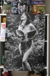 Björk - nü poster (Sinema afişi değil - lütfen açıklamayı okuyunuz)