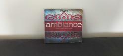 THE AMBİANCE VOLUME 3 CD ALBÜM KONDİSYON YÜKSEK KOLEKSİYONLUK NADİR