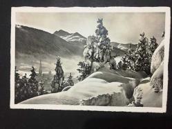 ŞEHİR KARTPOSTALI, İSVİÇRE DAVOS MUHTEŞEM BİR KAR MANZARASI, ÇAM AĞAÇLARI VE DAĞLAR, ARKASI YAZILMAMIŞ, SİYAH BEYAZ, 14 X 9 CM EBADINDA - 1960'LAR, 1970'LER, 1980'LER