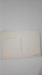 DOĞA KARTPOSTALI-ORMAN VE ŞELALE TEMALI, ARKASI YAZILMAMIŞ, RENKLİ, 12 X 16 CM EBADINDA