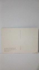 ÇİÇEK ÇELENGİ İÇİNDEKİ KUTSAL AİLE RESMİ KARTPOSTALI ,ARKASINA YAZILMAMIŞ,12X16 EBADINDA,RENKLİ