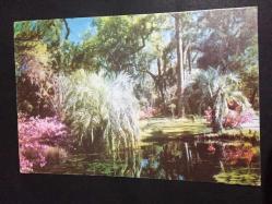 MANZARA KARTPOSTALI, GÖLET, ÇÜÇEKLER VE AĞAÇLARLA KAPLI MÜTHİŞ BİR MANZARA, ARKASI YAZILI, RENKLİ, 15 X 10 CM EBADINDA - 1950'LER, 1960'LAR, 1970'LER, 1980'LER