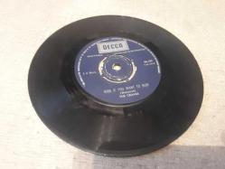 For Your Information - Hide If You Want To Hide / The Cedars