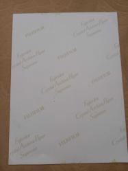 TÜRKAN ŞORAY'IN BÜYÜK BOY TIPKI BASIM FOTOĞRAFI - 24 x 17,5 cm EBADINDA - FOTOĞRAF KAĞIDINA BASKI