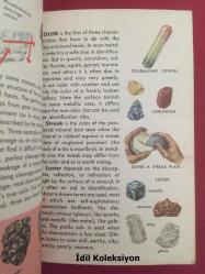 Rocks And Minerals : A Guide To Minerals , Gems and Rocks - Herbert S. Zım - Paul R. Shaffer - Golden Press - İngilizce Kitap , Rehber (Kayalar ve Mineraller: Mineraller, Değerli Taşlar ve Kayalar İçin Bir Kılavuz)