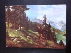 ÇİZİM KARTPOSTALI, GEYİKLER, ÇAM AĞAÇLARI, GÖL VE DAĞLARI RESMEDEN MÜTHİŞ BİR MANZARA , ARKASI YAZILI, RENKLİ, 15 X 10 CM EBADINDA - 1950'LER, 1960'LAR, 1970'LER, 1980'LER