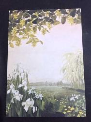 ÇİZİM KARTPOSTALI, ÇİFT YAPRAKLI, ÇİÇEKLER, YAPRAKLAR VE AĞAÇLARLA KAPLI GÜZEL BİR GÖL MANZARASI, ARKASI YAZILI, RENKLİ, 17 X 12 CM EBADINDA - 1950'LER, 1960'LAR, 1970'LER, 1980'LER