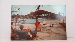 ŞEHİR KARTPOSTALI,HOLLANDA/OLİMPİK HAVUZ VE İNSAN MANZARALARI,RENKLİ,ARKASINA YAZILMAMIŞ 10 X 14 CM EBADINDA - 1950'LER, 1960'LAR, 1970'LER, 1980'LER