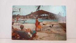 ŞEHİR KARTPOSTALI,HOLLANDA/OLİMPİK HAVUZ VE İNSAN MANZARALARI,RENKLİ,ARKASINA YAZILMAMIŞ 10 X 14 CM EBADINDA - 1950'LER, 1960'LAR, 1970'LER, 1980'LER