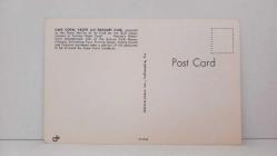 ŞEHİR KARTPOSTALI,HOLLANDA/OLİMPİK HAVUZ VE İNSAN MANZARALARI,RENKLİ,ARKASINA YAZILMAMIŞ 10 X 14 CM EBADINDA - 1950'LER, 1960'LAR, 1970'LER, 1980'LER