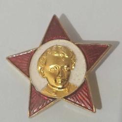 SSCB Yetim çocuk rozeti