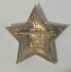 SSCB Yetim çocuk rozeti