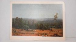 DOĞA VE ORMAN TEMALI KARTPOSTAL,RENKLİ,ARKASINA YAZILMAMIŞ 12 X 16 CM EBADINDA