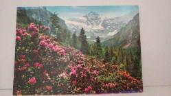 DOĞA ,ORMAN VE KARLI DAĞ TEMALI KARTPOSTAL,RENKLİ,ARKASINA YAZILMAMIŞ 12 X 16 CM EBADINDA