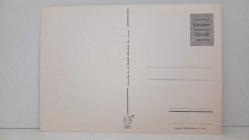 DOĞA ,ORMAN VE KARLI DAĞ TEMALI KARTPOSTAL,RENKLİ,ARKASINA YAZILMAMIŞ 12 X 16 CM EBADINDA