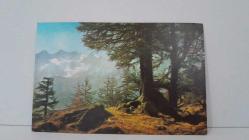 DOĞA ORMAN VE DAĞ TEMALI RESİM KARTPOSTALI,RENKLİ,ARKASINA YAZILMIŞ 12 X 16 CM EBADINDA