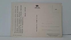 İLKBAHAR YEŞİŞ DOĞA VE KAĞNI TEMALI RESİM KARTPOSTALI,RENKLİ,ARKASINA YAZILMAMIŞ 12 X 16 CM EBADINDA