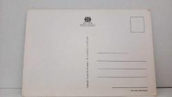 KIRMIZI MENEKŞE TEMALI KARTPOSTAL,RENKLİ,ARKASINA YAZILMAMIŞ 12 X 16 CM EBADINDA