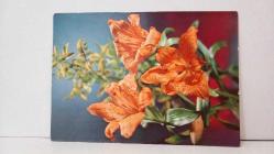 ÇİÇEK TEMALI KARTPOSTAL,RENKLİ,ARKASINA YAZILMIŞ 12 X 16 CM EBADINDA