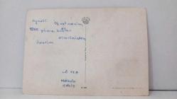 ÇİÇEK TEMALI KARTPOSTAL,RENKLİ,ARKASINA YAZILMIŞ 12 X 16 CM EBADINDA