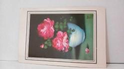 ÇİÇEK TEMALI KARTPOSTAL,RENKLİ,ARKASINA YAZILMIŞ 12 X 16 CM EBADINDA