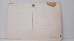 ÇİÇEK TEMALI KARTPOSTAL,RENKLİ,ARKASINA YAZILMAMIŞ 12 X 17 CM EBADINDA