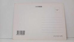 ÇİÇEK TEMALI KARTPOSTAL,RENKLİ,ARKASINA YAZILMAMIŞ 12 X 17 CM EBADINDA