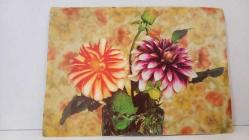 ÇİÇEK TEMALI KARTPOSTAL,RENKLİ,ARKASINA YAZILMAMIŞ 12 X 17 CM EBADINDA