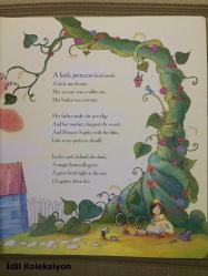The Princess and the Giant - Caryl Hart & Sarah Warburton - Nosy Crow - İngilizce Kitap (Prenses ve Dev)