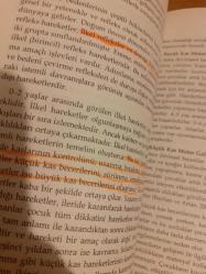 Okul Öncesi Eğitime Giriş