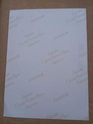 TÜRKAN ŞORAY'IN BÜYÜK BOY TIPKI BASIM FOTOĞRAFI - 24 x 17,5 cm EBADINDA - FOTOĞRAF KAĞIDINA BASKI