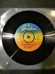 Zeki Müren ağla gitar çal gitar plak 45'lik