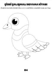 Profesyonel Çizgi Boyama Kitabı (Profesyonel Çizgi Çalışmaları)