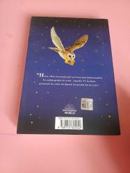 HARRY POTTER VE FELSEFE TAŞI