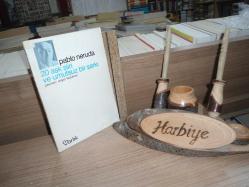 20 AŞK ŞİİRİ VE UMUTSUZ BİR ŞARKI