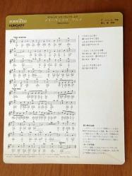 JAPONYA ÜRETİMİ, BÜYÜK BOY (21,5 x 17 cm), ARKASI MÜZİK NOTALI (VALSE MODERATO) HEDİYE KARTPOSTALI - KIYIDA KÖY EVLERİ VE YOSUN KAPLI GÖL, MACARİSTAN, GÜZEL BİR MANZARA