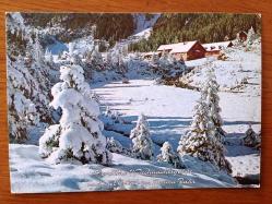 HEDİYE KARTPOSTALI, ÜZERİ KAR ÖRTÜLÜ ÇAM AĞAÇLARI VE EVLER, GÜZEL BİR KAR MANZARASI, ARKASI YAZILI, RENKLİ, 15 X 11 CM EBADINDA - 1940'LAR, 1950'LER, 1960'LAR, 1970'LER 1980'LER