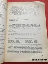 Urbis Et Orbis Lingua - V. Tantucci & T. Rimondi - Poseidonia - İtalyanca Kitap (Şehrin ve Dünyanın Dili)