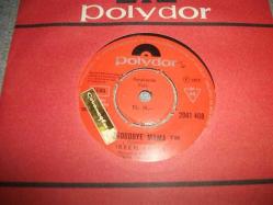 8 - IREEN SHEER - Goodbye mama - Jemand wartet auf dich