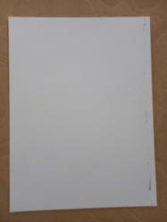 TÜRKAN ŞORAY'IN TIPKI BASIM FOTOĞRAFI - 20 x 15 cm EBADINDA - FOTOĞRAF KAĞIDINA BASKI, İZZET GÜNAY İLE