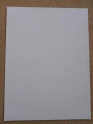 TÜRKAN ŞORAY'IN TIPKI BASIM FOTOĞRAFI - 20 x 15 cm EBADINDA - FOTOĞRAF KAĞIDINA BASKI, İZZET GÜNAY İLE