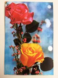 HEDİYE KARTPOSTALI, PEMBE VE SARI GÜLLER, EN GÜZEL ÇİÇEK FOTOĞRAFLARI, ARKASI YAZILMAMIŞ, RENKLİ, 10 X 15 CM EBADINDA - 1940'LAR, 1950'LER, 1960'LAR, 1970'LER 1980'LER