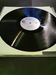 Gülden Karaböcek müzik ve ben plak dönem (posteri ile)