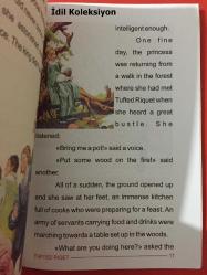 Tufted Riquet - Hans Christian Andersen - Selin Yayıncılık - İngilizce Hikaye Kitabı